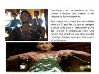Durante o ritual os membros da tribo
cantam e dançam para distrair e dar
coragem ao futuro guerreiro.
Para completar o ritual são necessárias
cerca de 20 sessões. Os jovens começam
o ritual cedo para o terminarem perto
dos 18 anos. É considerado como “uma
vacina” pois acreditam que essas picadas
funcionam também como proteção contra
várias doenças.
 