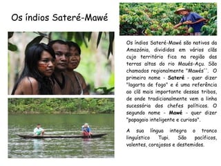 Os índios Sateré-Mawé
Os índios Sateré-Mawé são nativos da
Amazónia, divididos em vários clãs
cujo território fica na região das
terras altas do rio Maués-Açu. São
chamados regionalmente "Mawés''. O
primeiro nome - Sateré - quer dizer
"lagarta de fogo" e é uma referência
ao clã mais importante dessas tribos,
de onde tradicionalmente vem a linha
sucessória dos chefes políticos. O
segundo nome - Mawé - quer dizer
"papagaio inteligente e curioso".
A sua língua integra o tronco
linguístico Tupi. São pacíficos,
valentes, corajosos e destemidos.
 