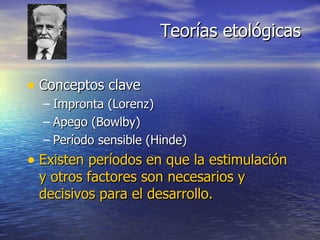 Conceptos clave Impronta (Lorenz) Apego (Bowlby) Período sensible (Hinde) Existen períodos en que la estimulación y otros factores son necesarios y decisivos para el desarrollo. Teorías etológicas 