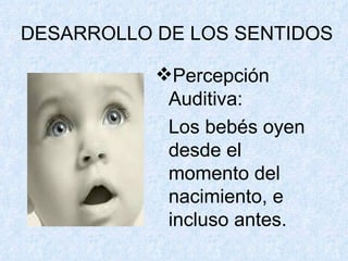 DESARROLLO DE LOS SENTIDOS Percepción Auditiva:  Los bebés oyen desde el momento del nacimiento, e incluso antes. 