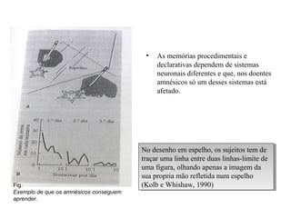 • As memórias procedimentais e
declarativas dependem de sistemas
neuronais diferentes e que, nos doentes
amnésicos só um desses sistemas está
afetado.
Fig.
Exemplo de que os amnésicos conseguem
aprender.
No desenho em espelho, os sujeitos tem de
traçar uma linha entre duas linhas-limite de
uma figura, olhando apenas a imagem da
sua propria mão refletida num espelho
(Kolb e Whishaw, 1990)
No desenho em espelho, os sujeitos tem de
traçar uma linha entre duas linhas-limite de
uma figura, olhando apenas a imagem da
sua propria mão refletida num espelho
(Kolb e Whishaw, 1990)
 
