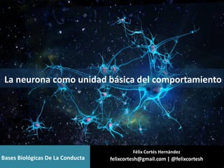 La neurona como unidad básica del comportamiento
Félix Cortés Hernández
felixcortesh@gmail.com | @felixcorteshBases Biológicas De La Conducta
 