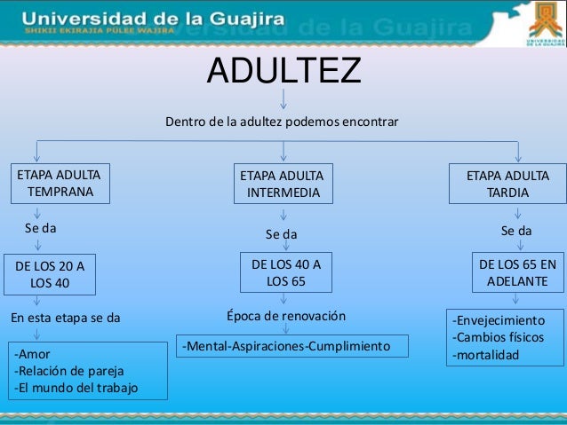 Psicologia tema 6 desarrollo de la vida
