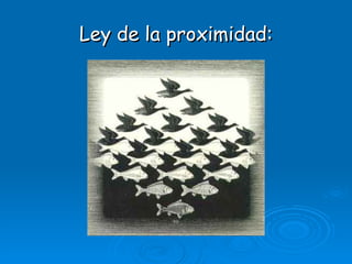 Ley de la proximidad: 
