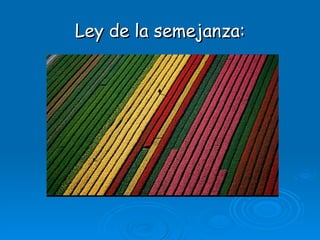 Ley de la semejanza: 