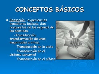 CONCEPTOS BÁSICOS ●   Sensación  : experiencias inmediatas básicas. Son respuestas de los órganos de los sentidos.  -Transducción: transformación de unas magnitudes a otras.    Transducción en la vista    Transducción en el sistema sensorial    Transducción en el olfato 