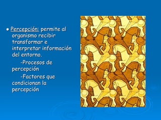●  Percepción:  permite al organismo recibir transformar e interpretar información del entorno. -Procesos de percepción -Factores que condicionan la percepción 