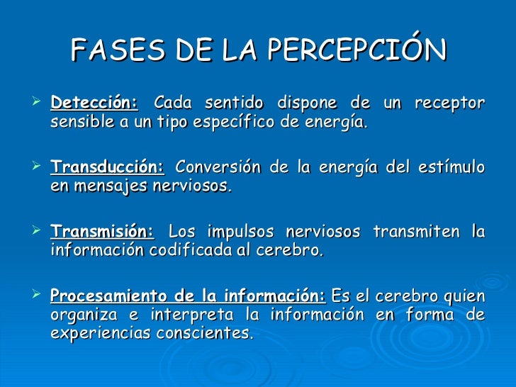 La percepción