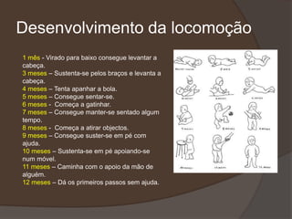 Desenvolvimento da locomoção
1 mês - Virado para baixo consegue levantar a
cabeça.
3 meses – Sustenta-se pelos braços e levanta a
cabeça.
4 meses – Tenta apanhar a bola.
5 meses – Consegue sentar-se.
6 meses - Começa a gatinhar.
7 meses – Consegue manter-se sentado algum
tempo.
8 meses - Começa a atirar objectos.
9 meses – Consegue suster-se em pé com
ajuda.
10 meses – Sustenta-se em pé apoiando-se
num móvel.
11 meses – Caminha com o apoio da mão de
alguém.
12 meses – Dá os primeiros passos sem ajuda.
 