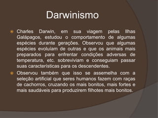 Darwinismo
 Charles Darwin, em sua viagem pelas Ilhas
Galápagos, estudou o comportamento de algumas
espécies durante gerações. Observou que algumas
espécies evoluíam de outras e que os animais mais
preparados para enfrentar condições adversas de
temperatura, etc. sobreviviam e conseguiam passar
suas características para os descendentes.
 Observou também que isso se assemelha com a
seleção artificial que seres humanos fazem com raças
de cachorros, cruzando os mais bonitos, mais fortes e
mais saudáveis para produzirem filhotes mais bonitos.
 