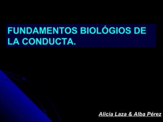 FUNDAMENTOS BIOLÓGIOS DE
LA CONDUCTA.




               Alicia Laza & Alba Pérez
 