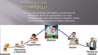 

La vida humana está sujeta a un proceso de
desarrollo desde la concepción a la vejez.
Aunque cada vida individual es singular, todas
atraviesan básicamente la misma secuencia.

 