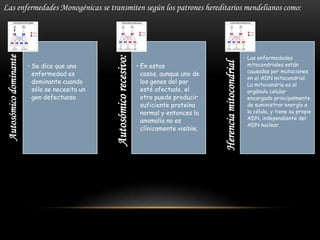 • En estos
casos, aunque uno de
los genes del par
esté afectado, el
otro puede producir
suficiente proteína
normal y entonces la
anomalía no es
clínicamente visible;

Herencia mitocondrial

• Se dice que una
enfermedad es
dominante cuando
sólo se necesita un
gen defectuoso

Autosómico recesivo:

Autosómico dominante

Las enfermedades Monogénicas se transmiten según los patrones hereditarios mendelianos como:

• Las enfermedades
mitocondriales están
causadas por mutaciones
en el ADN mitocondrial.
La mitocondria es el
orgánulo celular
encargado principalmente
de suministrar energía a
la célula, y tiene su propio
ADN, independiente del
ADN nuclear.

 
