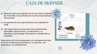 CAJA DE SKINNER
 Eskinner retomo los estudios de de Iván Pavlor y Edward
lee Thorndike y los profundizo de acuerdo al aprendizaje
Instrumental.
 El experimento de la caja de Skinner fue realizado en
1938.
 Una caja de Skinner típica tiene tres características
esenciales: discriminanda, un operandum y un
dispositivo para entregar reforzadores, normalmente un
comedero.
Estas tenían el fin de corresponder a la contingencia de tres
términos de Skinner que consiste en un estímulo, una
respuesta y una consecuencia.
 