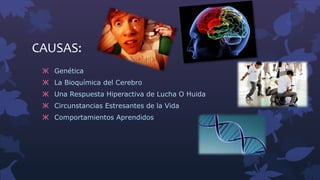 CAUSAS:
Ж Genética
Ж La Bioquímica del Cerebro
Ж Una Respuesta Hiperactiva de Lucha O Huida
Ж Circunstancias Estresantes de la Vida
Ж Comportamientos Aprendidos
 