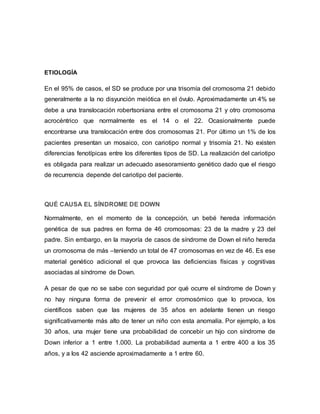 ETIOLOGÍA
En el 95% de casos, el SD se produce por una trisomía del cromosoma 21 debido
generalmente a la no disyunción meiótica en el óvulo. Aproximadamente un 4% se
debe a una translocación robertsoniana entre el cromosoma 21 y otro cromosoma
acrocéntrico que normalmente es el 14 o el 22. Ocasionalmente puede
encontrarse una translocación entre dos cromosomas 21. Por último un 1% de los
pacientes presentan un mosaico, con cariotipo normal y trisomía 21. No existen
diferencias fenotípicas entre los diferentes tipos de SD. La realización del cariotipo
es obligada para realizar un adecuado asesoramiento genético dado que el riesgo
de recurrencia depende del cariotipo del paciente.
QUÉ CAUSA EL SÍNDROME DE DOWN
Normalmente, en el momento de la concepción, un bebé hereda información
genética de sus padres en forma de 46 cromosomas: 23 de la madre y 23 del
padre. Sin embargo, en la mayoría de casos de síndrome de Down el niño hereda
un cromosoma de más –teniendo un total de 47 cromosomas en vez de 46. Es ese
material genético adicional el que provoca las deficiencias físicas y cognitivas
asociadas al síndrome de Down.
A pesar de que no se sabe con seguridad por qué ocurre el síndrome de Down y
no hay ninguna forma de prevenir el error cromosómico que lo provoca, los
científicos saben que las mujeres de 35 años en adelante tienen un riesgo
significativamente más alto de tener un niño con esta anomalía. Por ejemplo, a los
30 años, una mujer tiene una probabilidad de concebir un hijo con síndrome de
Down inferior a 1 entre 1.000. La probabilidad aumenta a 1 entre 400 a los 35
años, y a los 42 asciende aproximadamente a 1 entre 60.
 