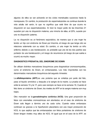 algunos de ellos se van activando en los ciclos menstruales sucesivos hasta la
menopausia. En cambio, la producción de espermatozoides es continua durante la
vida adulta del varón, lo que no significa que esté libre de que ocurra no
disyunción en sus espermatozoides. Si bien la mayor parte de las trisomías 21
suceden por una no disyunción materna, una minoría de ellas, el 20%, sucede por
una no disyunción paterna.
La no disyunción es un fenómeno esporádico, de manera que si una mujer ha
tenido un hijo con síndrome de Down por trisomía, el riesgo de que tenga otro se
relaciona solamente con su edad. En cambio, si una mujer ha tenido un niño
enfermo debido a una translocación, es probable que uno de los dos padres sea
portador de una translocación y el riesgo de recurrencia (el riesgo de que vuelva a
ocurrir) es mucho mayor.
DIAGNOSTICO PRENATAL DEL SINDROME DE DOWN
Se utilizan distintos marcadores bioquímicos para diagnosticar cromosomopatías,
como el síndrome de Down, en embarazadas. Los más importantes son los
denominados marcadores bioquímicos del segundo trimestre:
La alfafetoproteína (AFP) es una proteína que se sintetiza por parte del feto,
pasa al líquido amniótico y después a la sangre de la madre. La prueba se hace
entre la semana 15 y la 17, pero casi siempre se hace en la semana 16. Cuando el
feto tiene un síndrome de Down, los niveles de AFP en la sangre materna son muy
bajos.
Otro marcador es la gonadotropina coriónica (hCG). Una gran proporción de
fetos con anomalías cromosómicas son abortados; en el caso de síndrome de
Down solo llegan a término uno de cada ocho. Cuando estos embarazos
continúan es gracias a la hiperfunción placentaria con una mayor producción de
hCG, lo que explica que las embarazadas con fetos portadores de síndrome de
Down tengan niveles muy altos de hCG. Al igual que en el caso de la AFP, se
 