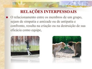 O relacionamento entre os membros de um grupo,
sejam de simpatia e amizade ou de antipatia e
confronto, resulta na criação ou na destruição de sua
eficácia como equipe,
RELAÇÕES INTERPESSOAIS
 
