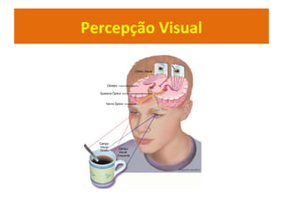 Percepção Visual
 