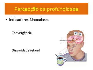 Percepção da profundidade
• Indicadores Binoculares
Convergência
Disparidade retinal
 