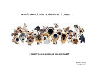 A razão de você estar recebendo isto é porque ... Farejamos uma pessoa boa de longe ! Autor desconhecido Montagem:  L.H.K. 