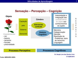 Interpretação e Integração das características do objetoaos conhecimentos do sujeitoObjetoRESPOSTASCérebroCaptaçãopelo SistemaSensorialEstruturascorticaisMemóriaCategorizaçãoAtençãoResolução de Problemas: tipos de raciocínioLinguagemSistema CognitivoCaracterísticas:- cor- textura- tamanho- formato- profundidadeProcessos CognitivosProcesso PerceptivoSensação – Percepção – CogniçãoFonte: ABRAHÃO (2003)