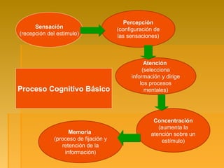 Proceso Cognitivo Básico
Sensación
(recepción del estimulo)
Percepción
(configuración de
las sensaciones)
Atención
(selecciona
información y dirige
los procesos
mentales)
Concentración
(aumenta la
atención sobre un
estímulo)
Memoria
(proceso de fijación y
retención de la
información)
 