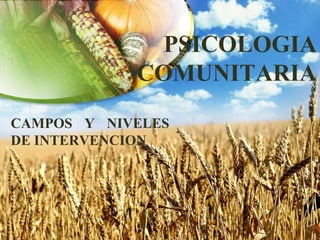 PSICOLOGIA
            COMUNITARIA
CAMPOS Y NIVELES
DE INTERVENCION
 