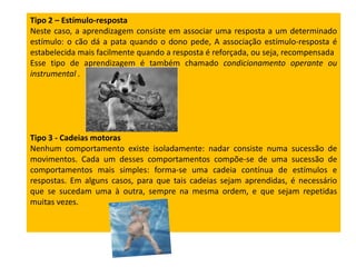 Tipo 2 – Estímulo-resposta
Neste caso, a aprendizagem consiste em associar uma resposta a um determinado
estímulo: o cão dá a pata quando o dono pede, A associação estímulo-resposta é
estabelecida mais facilmente quando a resposta é reforçada, ou seja, recompensada
Esse tipo de aprendizagem é também chamado condicionamento operante ou
instrumental .

Tipo 3 - Cadeias motoras
Nenhum comportamento existe isoladamente: nadar consiste numa sucessão de
movimentos. Cada um desses comportamentos compõe-se de uma sucessão de
comportamentos mais simples: forma-se uma cadeia contínua de estímulos e
respostas. Em alguns casos, para que tais cadeias sejam aprendidas, é necessário
que se sucedam uma à outra, sempre na mesma ordem, e que sejam repetidas
muitas vezes.

 