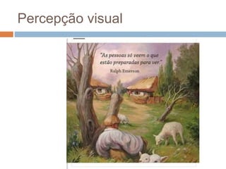 Percepção visual 
 