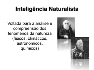 Inteligência Naturalista
Voltada para a análise e
compreensão dos
fenômenos da natureza
(físicos, climáticos,
astronômicos,
químicos)
 