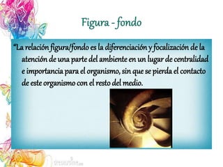 “La relación figura/fondo es la diferenciación y focalización de la
atención de una parte del ambiente en un lugar de centralidad
e importancia para el organismo, sin que se pierda el contacto
de este organismo con el restodel medio.
 