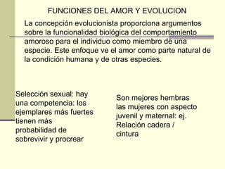 FUNCIONES DEL AMOR Y EVOLUCION La concepción evolucionista proporciona argumentos sobre la funcionalidad biológica del comportamiento amoroso para el individuo como miembro de una especie. Este enfoque ve el amor como parte natural de la condición humana y de otras especies.  Selección sexual: hay una competencia: los ejemplares más fuertes tienen más probabilidad de sobrevivir y procrear Son mejores hembras las mujeres con aspecto juvenil y maternal: ej. Relación cadera / cintura 