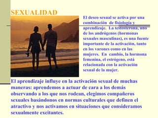 El aprendizaje influye en la activación sexual de muchas maneras: aprendemos a actuar de cara a los demás observando a los que nos rodean, elegimos compañeros sexuales basándonos en normas culturales que definen el atractivo y nos activamos en situaciones que consideramos sexualmente excitantes.  SEXUALIDAD El deseo sexual se activa por una combinación  de fisiología y aprendizaje.  La testosterona, uno de los andrógenos (hormonas sexuales masculinas), es una fuente importante de la activación, tanto en los varones como en las mujeres.  En  cambio, la hormona femenina, el estrógeno, está relacionada con la activación sexual de la mujer. 
