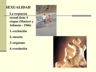 La respuesta sexual tiene 4 etapas (Masters y Johnson - 1966) 1.-excitación 2.-meseta 3.-orgasmo 4.-resolución SEXUALIDAD 