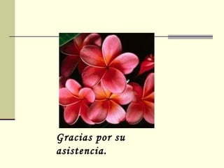 Gracias por su asistencia.  