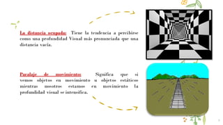 9
La distancia ocupada: Tiene la tendencia a percibirse
como una profundidad Visual más pronunciada que una
distancia vacía.
Paralaje de movimiento: Significa que si
vemos objetos en movimiento u objetos estáticos
mientras nosotros estamos en movimiento la
profundidad visual se intensifica.
 