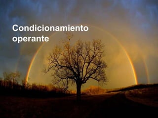 Condicionamientooperante