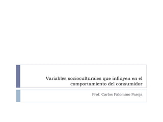 Variables socioculturales que influyen en el comportamiento del consumidor Prof. Carlos Palomino Pareja 