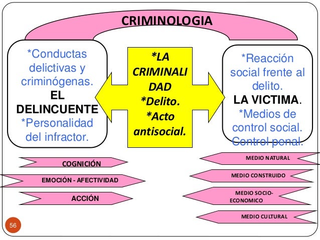 Psicologia del delincuente