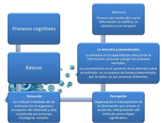 Psicologia de los procesos cognitivos