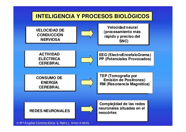 de psicologia orales test Psicología diferencial de psicologia orales test Psicología diferencial
