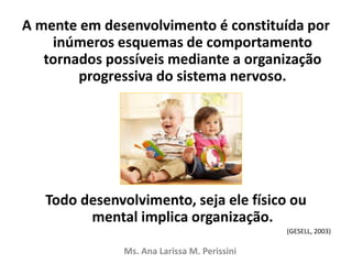 A mente em desenvolvimento é constituída por
inúmeros esquemas de comportamento
tornados possíveis mediante a organização
progressiva do sistema nervoso.
Todo desenvolvimento, seja ele físico ou
mental implica organização.
(GESELL, 2003)
Ms. Ana Larissa M. Perissini
 