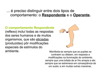 ... é preciso distinguir entre dois tipos de
    comportamento: o Respondente e o Operante.


O comportamento Respondente
(reflexo) incluí todas as respostas
dos seres humanos e de muitos
organismos, que são eliciadas
(produzidas) pôr modificações
especiais de estímulos do
ambiente.                       Manifesta-se sempre que as pupilas se
                                    contraem ou dilatam, em resposta a
                                 modificações na iluminação do ambiente;
                               sempre que uma lufada de ar frio arrepia a ele;
                               sempre que se estremece em conseqüência de
                                  um susto; e em muitas outras maneiras.
 