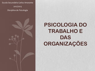 PSICOLOGIA DO
TRABALHO E
DAS
ORGANIZAÇÕES
Escola Secundária Carlos Amarante
2012/2013
Disciplina de Psicologia
 