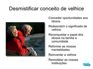 Ocupações e actividades desportivas 