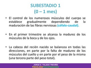 SUBESTADIO 1
(0 – 1 mes)
• El control de los numerosos músculos del cuerpo se
establece gradualmente dependiendo de la
maduración de las fibras nerviosas (céfalo-caudal).
• En el primer trimestre se alcanza la madurez de los
músculos de la boca y de los ojos.
• La cabeza del recién nacido se balancea en todas las
direcciones, en parte por la falta de madurez de los
músculos del cuello y en parte por el peso de la misma
(una tercera parte del peso total).
JORGE E. TOLEDO TREVIÑO
PSICÓLOGOPSICOPEDAGOGO
 