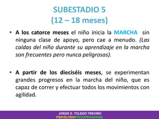 SUBESTADIO 5
(12 – 18 meses)
• A los catorce meses el niño inicia la MARCHA sin
ninguna clase de apoyo, pero cae a menudo. (Las
caídas del niño durante su aprendizaje en la marcha
son frecuentes pero nunca peligrosas).
• A partir de los dieciséis meses, se experimentan
grandes progresos en la marcha del niño, que es
capaz de correr y efectuar todos los movimientos con
agilidad.
JORGE E. TOLEDO TREVIÑO
PSICÓLOGOPSICOPEDAGOGO
 