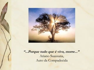 “...Porque tudo que é vivo, morre...”
Ariano Suassuna,
Auto da Compadecida
 