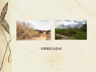 OBRIGADA!
 